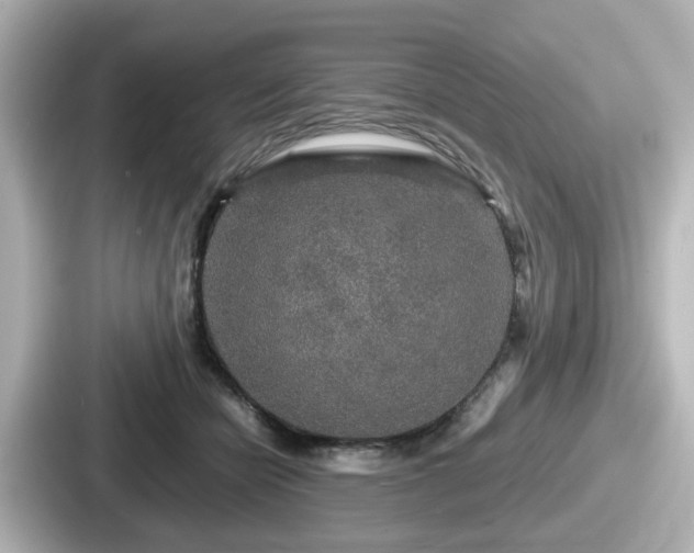 X0000087640462200705101051