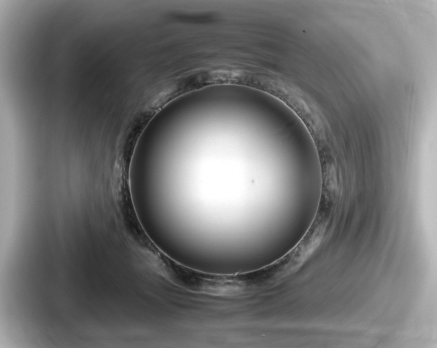 X0000087640463200705101051