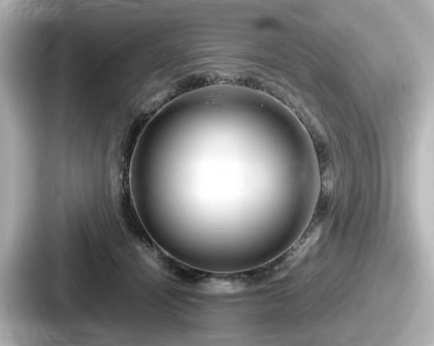 X0000087640464200705101051