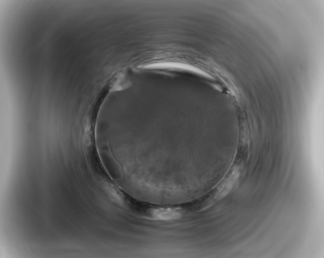 X0000087640465200705101051