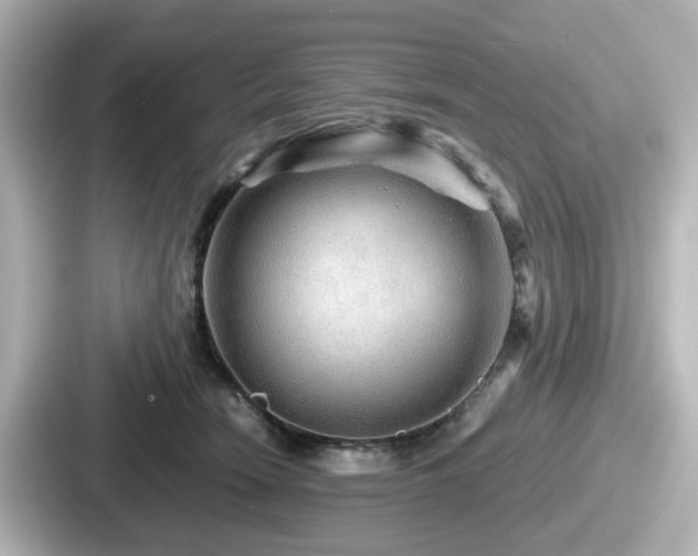 X0000087640466200705101051