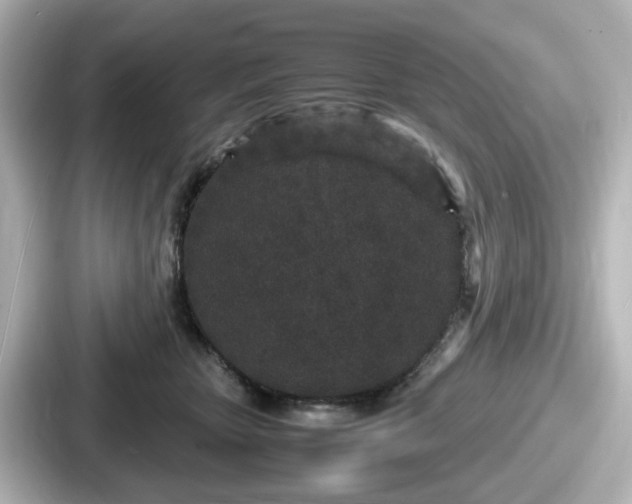 X0000087640467200705101051