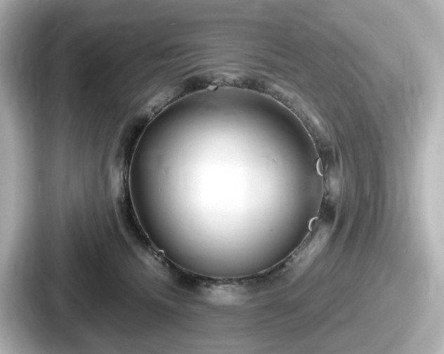 X0000087640468200705101051