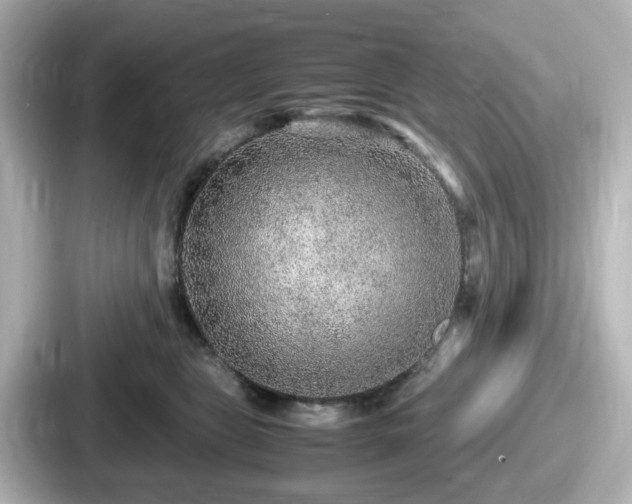 X0000087640469200705101051