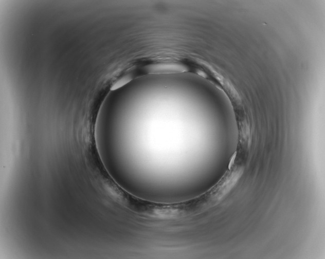 X0000087640470200705101051