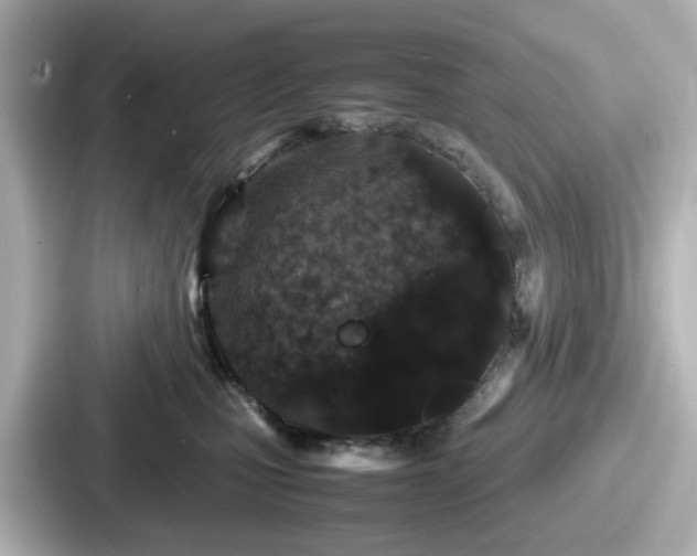 X0000087640471200705101051