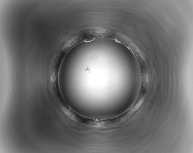 X0000087640472200705101051