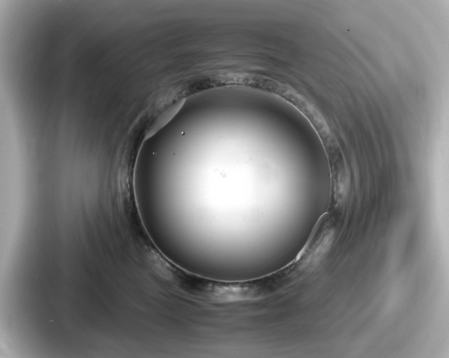 X0000087640473200705101051