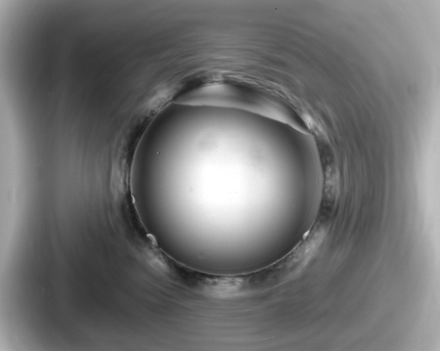 X0000087640474200705101051