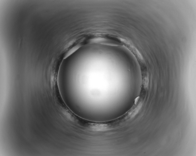 X0000087640476200705101051