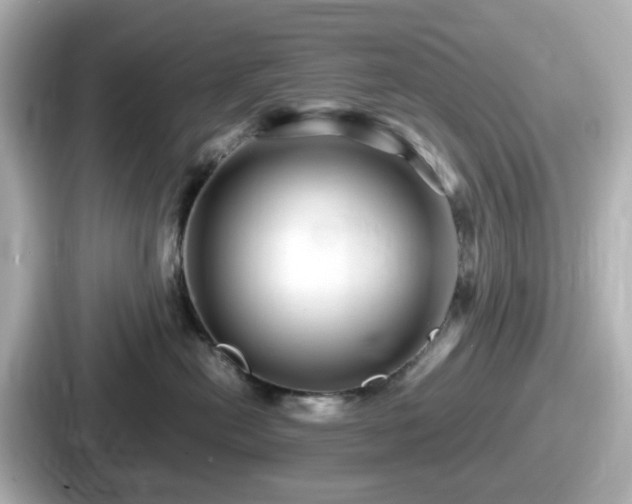 X0000087640478200705101051