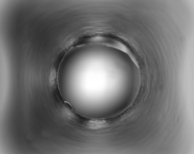 X0000087640480200705101051