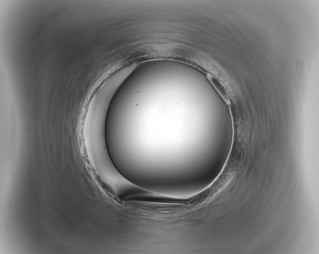 X0000087640481200705101050