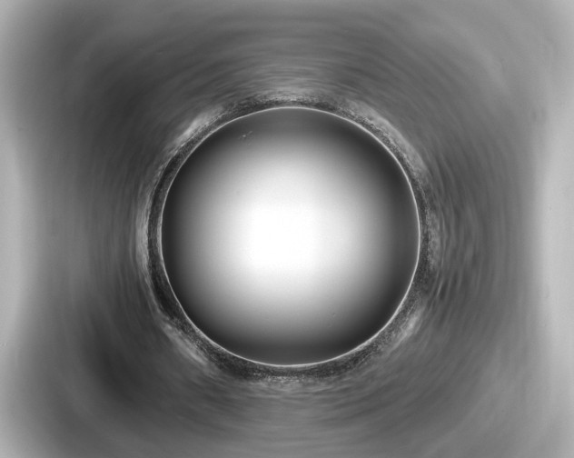 X0000087640482200705101050