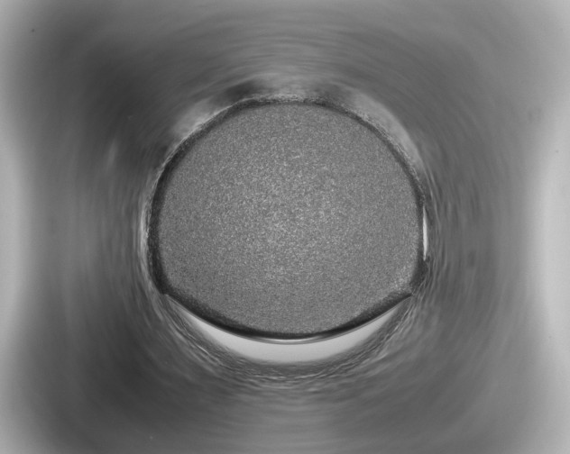 X0000087640483200705101050