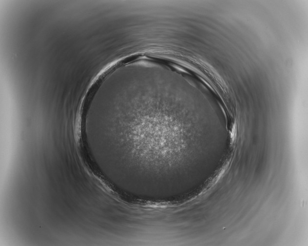 X0000087640484200705101050