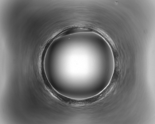 X0000087640485200705101050