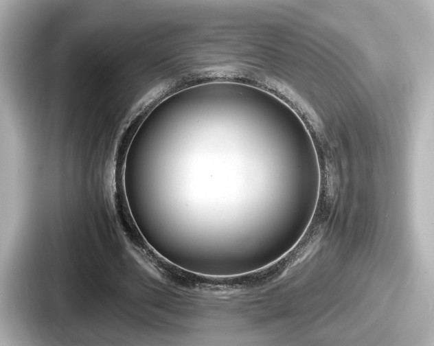 X0000087640486200705101050