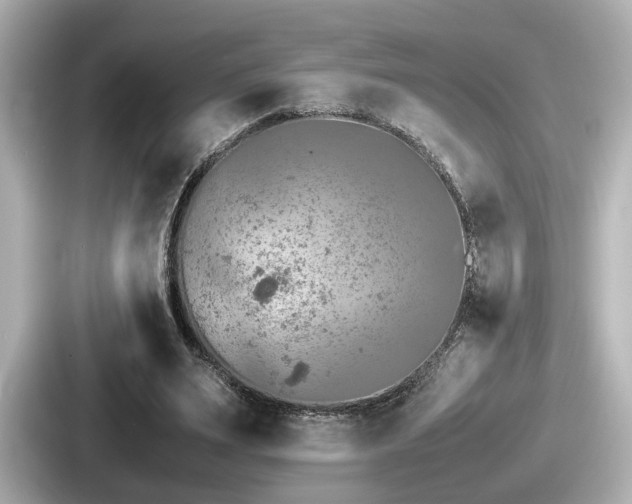 X0000087640487200705101050