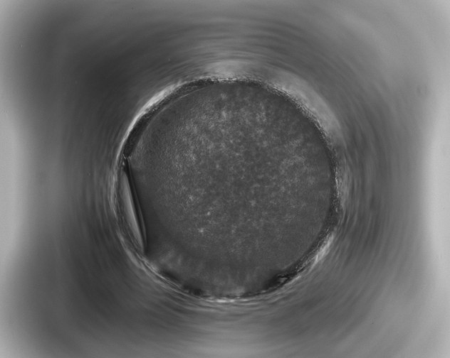 X0000087640488200705101050