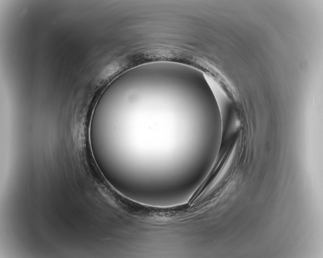 X0000087640489200705101050