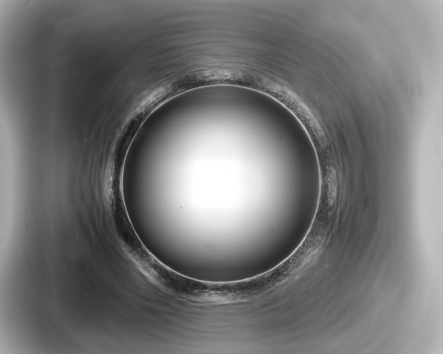 X0000087640490200705101050