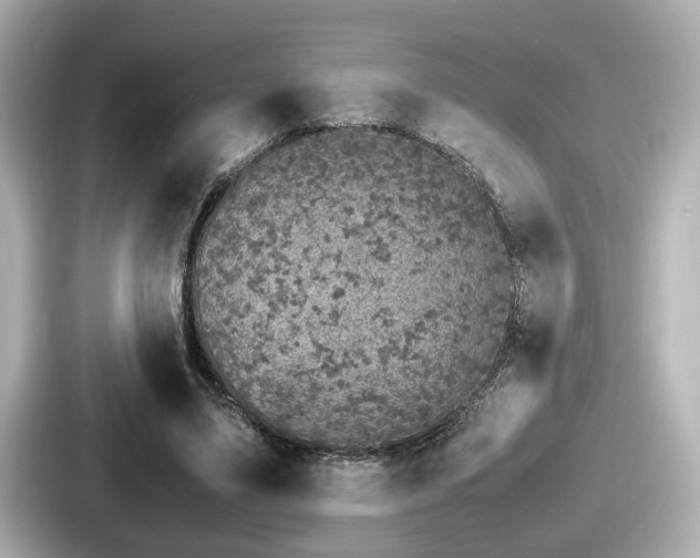 X0000087640491200705101050