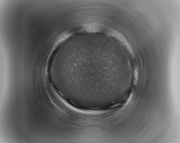 X0000087640492200705101050