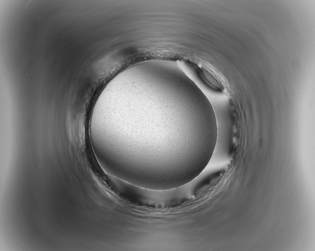 X0000087640493200705101050