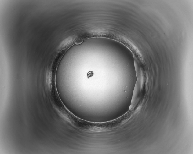 X0000087640494200705101050