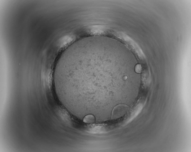 X0000087640495200705101050