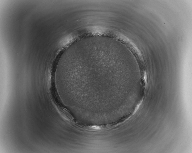 X0000087640496200705101050