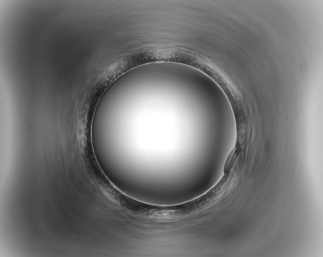 X0000087640497200705101050