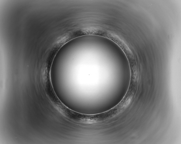 X0000087640498200705101050