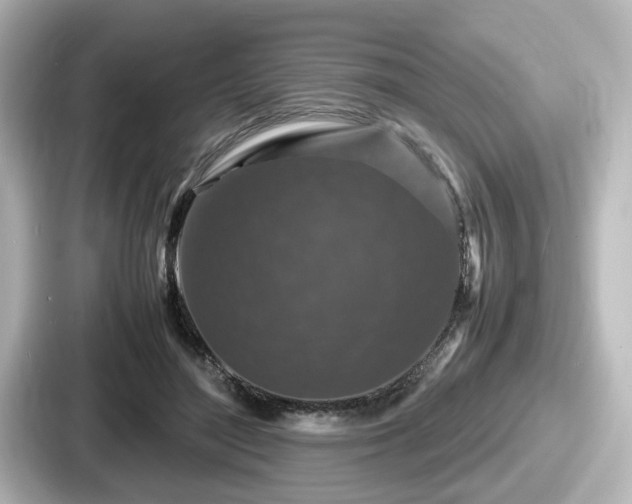 X0000087640500200705101050