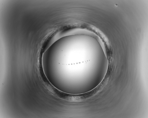 X0000087640501200705101050