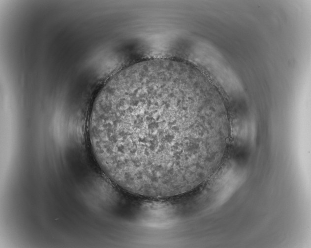 X0000087640503200705101050