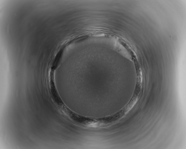 X0000087640504200705101050