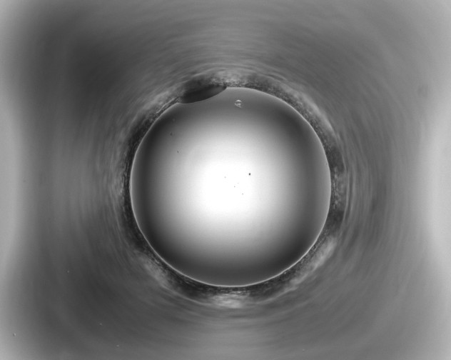 X0000087640505200705101050