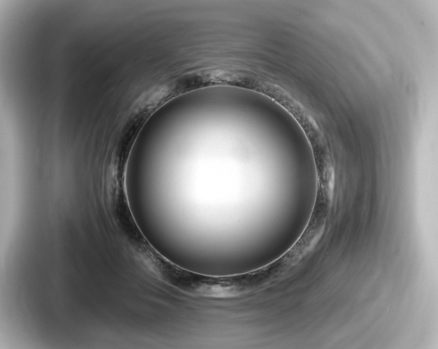 X0000087640506200705101050