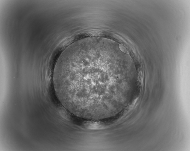 X0000087640507200705101050