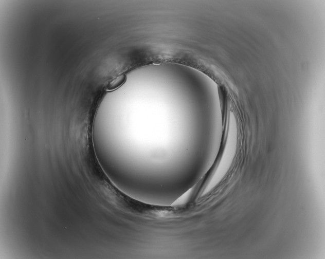 X0000087640509200705101050