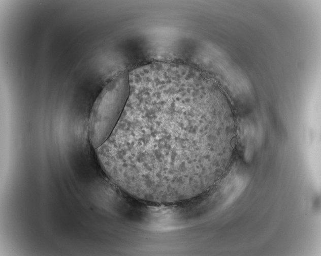 X0000087640511200705101050