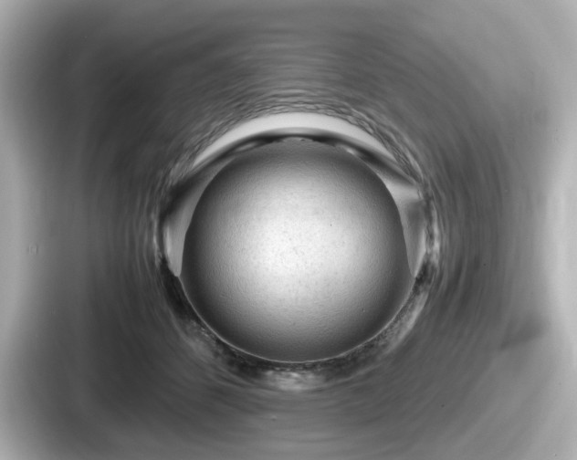 X0000087640512200705101050