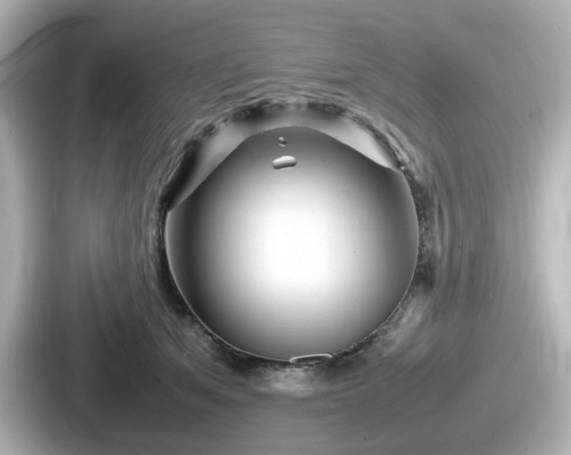 X0000087640513200705101050