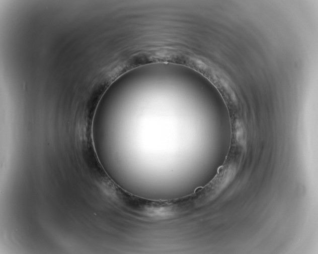 X0000087640514200705101050