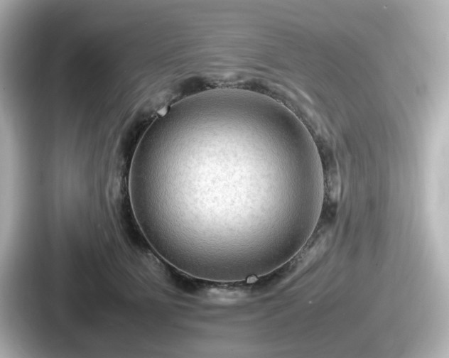 X0000087640515200705101050