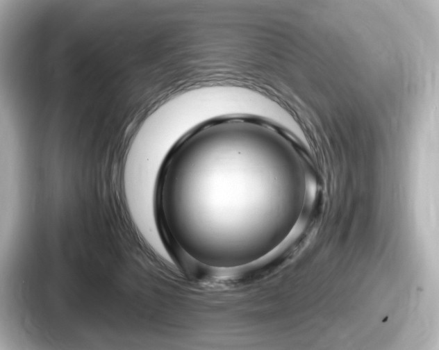 X0000087640516200705101050