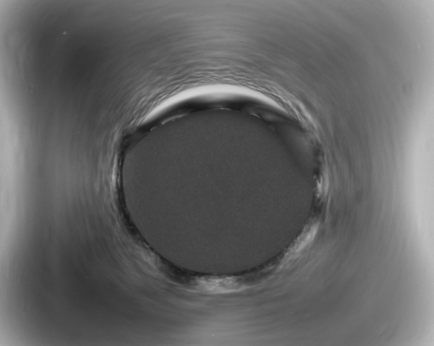 X0000087640517200705101050