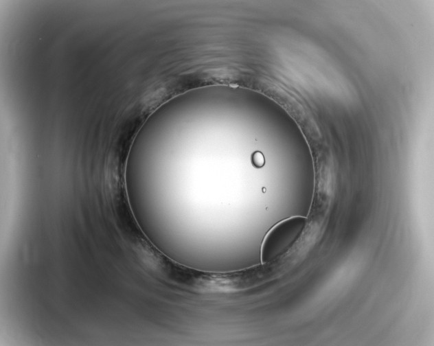 X0000087640518200705101050